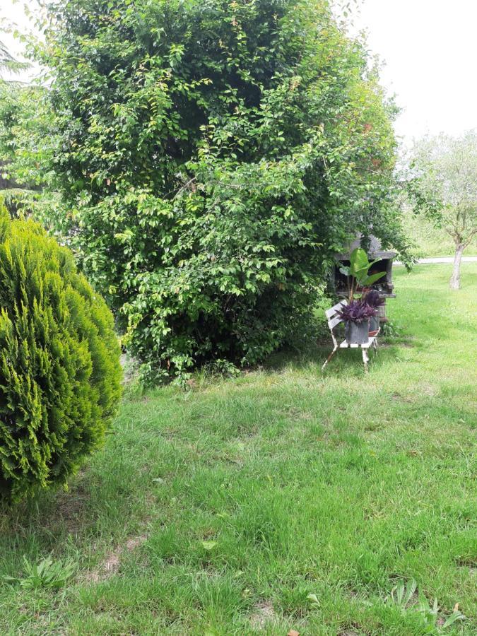 Double Room Fucecchio Zewnętrze zdjęcie